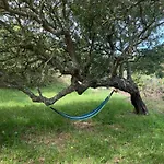 Σπίτι διακοπών Il Lentischio Casa B1
