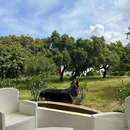 Il Lentischio * Nulvi