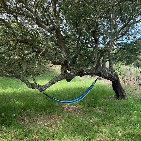 Casa vacanze Il Lentischio