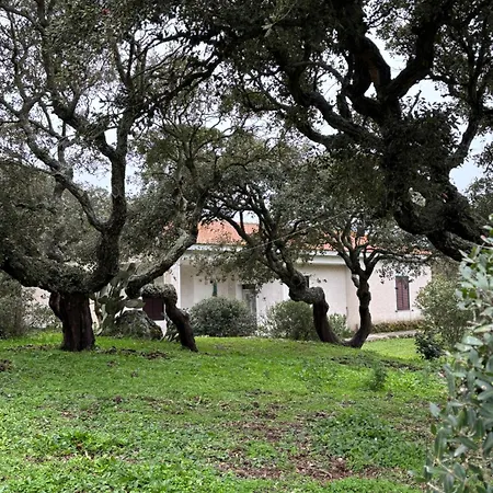 Il Lentischio Casa B1 Semesterbostad Nulvi