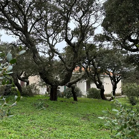 Il Lentischio Casa B1